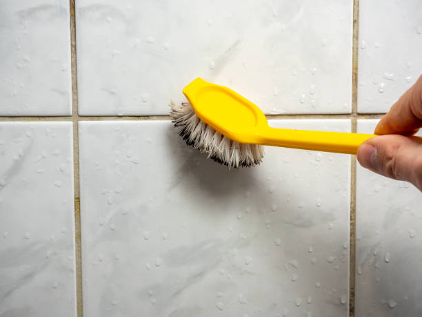 Best Black Mold Removal  in Lochsloy, WA
