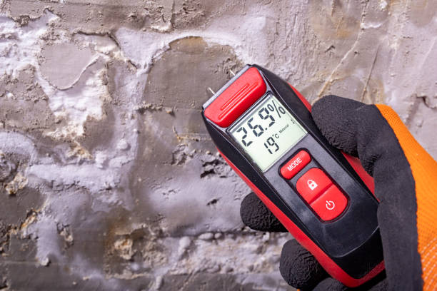 Best Mold Removal Company Near Me  in Lochsloy, WA